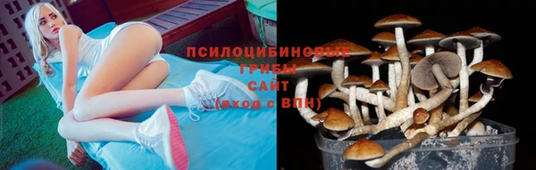 гашиш Ладушкин