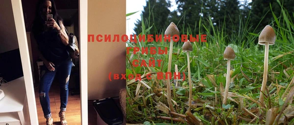 гашиш Ладушкин