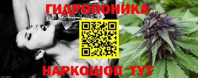 прущие крисы Донецк
