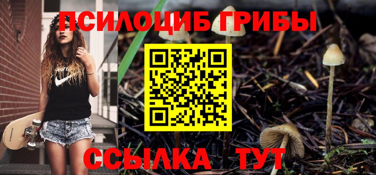 Галлюциногенные грибы мухоморы  Псилоцибиновые грибы GOLDEN TEACHER  Фролово  Вход с VPN 